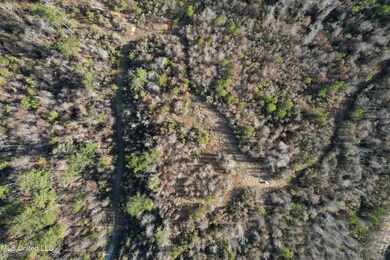 DJI_0547