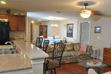 21624 Belgian Ct, Mount Dora, FL 32757 - photo 6