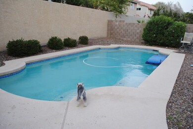 Crystal Clear Pool