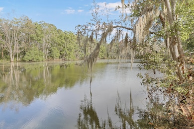 1254 Doctor Evans Rd, Moncks Corner, SC 29461 - photo 4