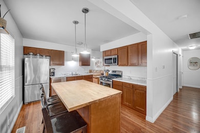 2009 W Porter Ave, Chesterton, IN 46304 - photo 7