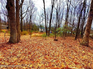 327 Maple Rd, Effort, PA 18330 - photo 3