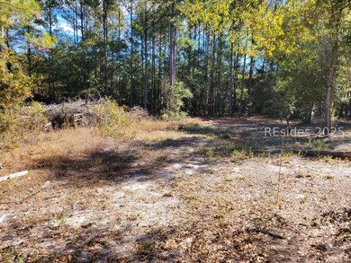 TBD Beavers Rd, Ridgeland, SC 29936 - photo 2
