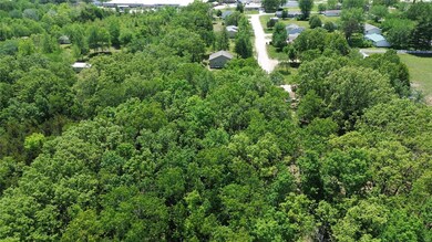 0 Tbd Nina St, Dixon, MO 65459 - photo 2