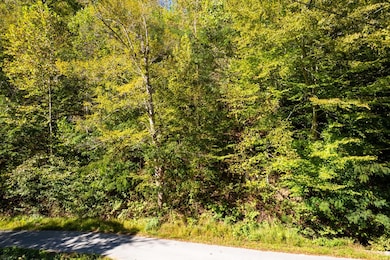 0 Jimmie Creek Rd, Regina, KY 41559 - photo 2