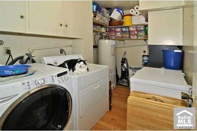 kitty not included!