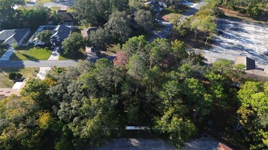 7931 Rhanbuoy Rd, Spring Hill, FL 34606 - photo 6