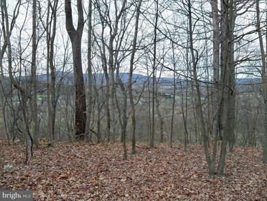 0 Hawks Nest Lot 9 unit WVMO117532, Hedgesville, WV 25427 - photo 6
