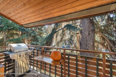 910 W Hallam St unit 11, Aspen, CO 81611 - photo 5