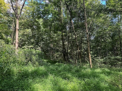 TBD Scenery Hill Rd, Wellsburg, WV 26070 - photo 6