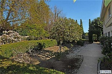 Back patio - abundance of fruit trees
