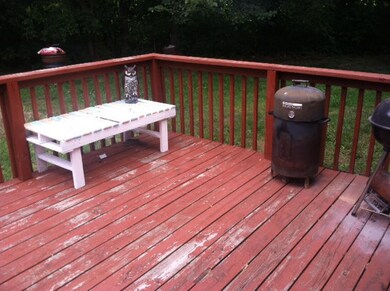 photo 1 (11)