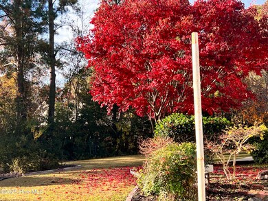 5917 Dekker Rd, Castle Hayne, NC 28429 - photo 5