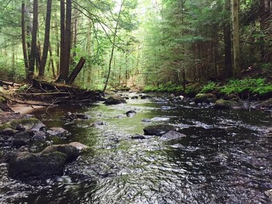 Bennett Brook