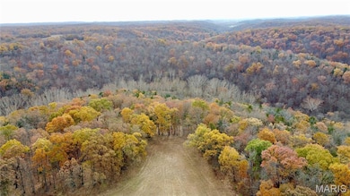 Tract 8 Polston Ln, Hickory Grove Township, MO 63357 - photo 3