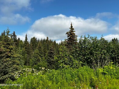 31F58A2D-F5BE-437C-80E5-3E9AD82229BA