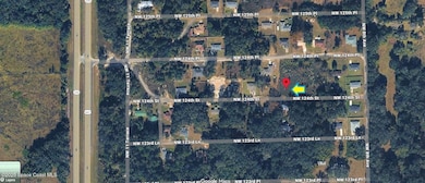 0000 NW 124th St, Anthony, FL 32113 - photo 4