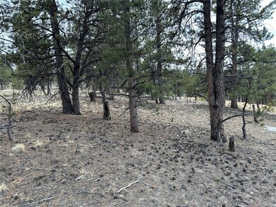 2146 Wagon Wheel Rd unit 353, Hartsel, CO 80449 - photo 7
