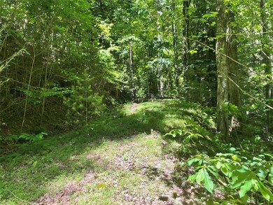 View of local wilderness