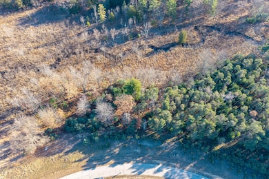 11250 Killarney Dr, Canadian Lakes, MI 49346 - photo 2