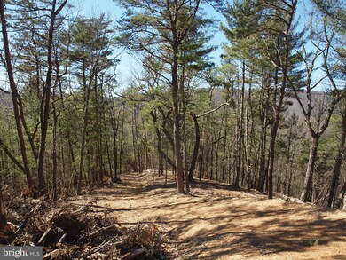 0 Reddish Knob Rd unit PARCEL 3 WVPT101148, Sugar Grove, WV 26802 - photo 2