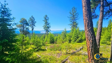 Fwp Region 1 unit Hunting District 122, Plains, MT 59859 - photo 2