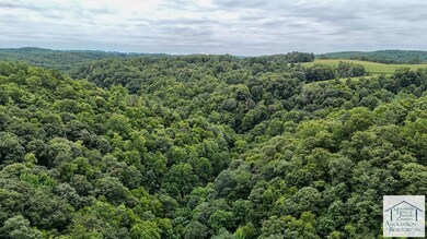 1986 Bent Rd, Meadows of Dan, VA 24120 - photo 4