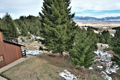 Trees & Views