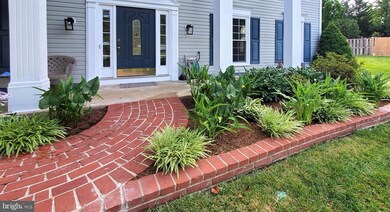 7006 Green Spring Ln, Alexandria, VA 22306 - photo 7