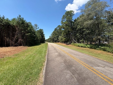 0 Old Rumble Rd, Forsyth, GA 31029 - photo 5