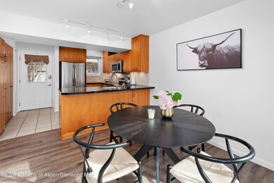 814 W Bleeker St unit C1, Aspen, CO 81611 - photo 4