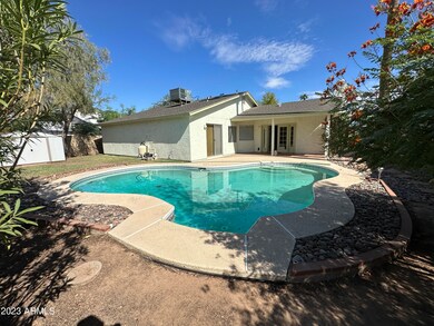 4521 W Boston St, Chandler, AZ 85226 - photo 6