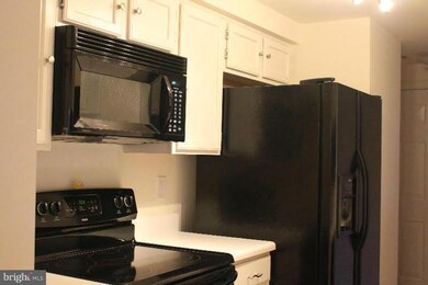 13103 Briarcliff Terrace unit 10-1002, Germantown, MD 20874 - photo 5