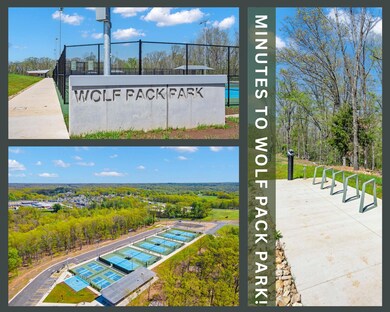 Wolf Pack Park