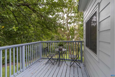 883 Locust Ave, Charlottesville, VA 22902 - photo 5
