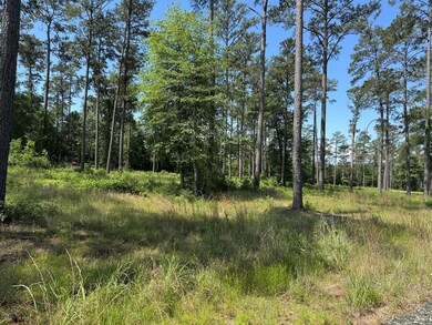 009 Private Road 6028 Tract 1-9, Brookeland, TX 75931 - photo 2