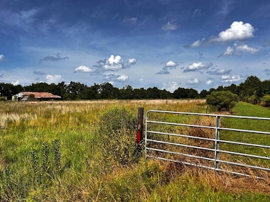 111 Mcmanus Rd, Rayville, LA 71269 - photo 3