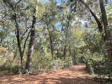 32 Stillforest St, Houston, TX 77024 - photo 3