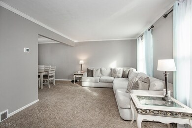 6860 Fitch Rd, Olmsted Falls, OH 44138 - photo 3