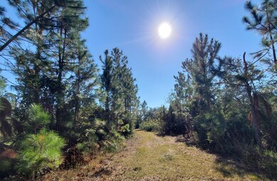0 SW Prine Rd unit 20907962, Lee, FL 32059 - photo 2