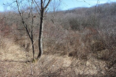 00 Eberly Dr, Summersville, WV 26651 - photo 4