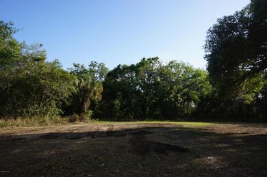 467 N Dixie Ave, Titusville, FL 32796 - photo 6