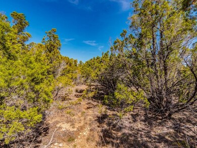 View of local wilderness featuring a view of trees