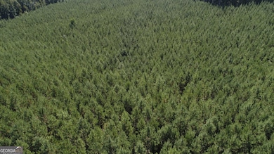 45+/- AC Noles Rd, Franklin, GA 30217 - photo 5