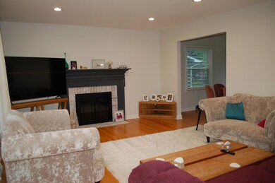 305 Tamarack Ave, Naperville, IL 60540 - photo 6