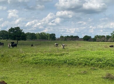 00 Terrace Rd, Chappell Hill, TX 77426 - photo 4