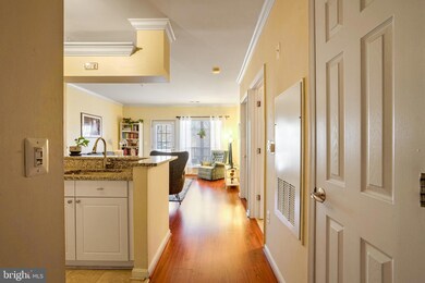 4561 Strutfield Ln unit 3313, Alexandria, VA 22311 - photo 2