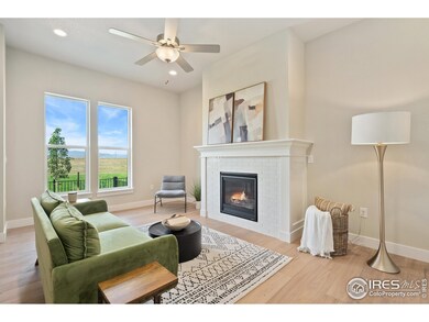 6228 Vernazza Way unit 2, Windsor, CO 80550 - photo 5