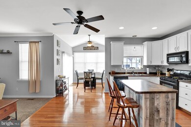 550 N Erin Ave, Felton, DE 19943 - photo 5