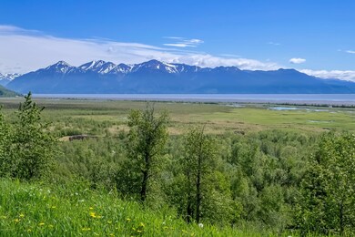 15486 Old Seward Hwy, Anchorage, AK 99516 - photo 2